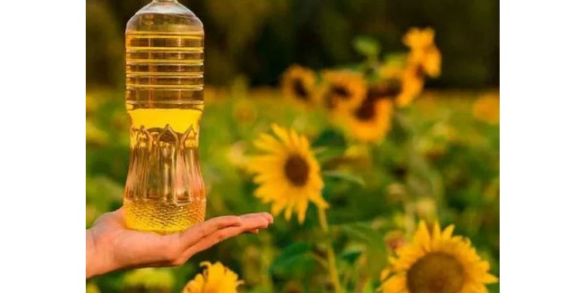 Deutschland steht aufgrund von Sanktionen gegen Russland kurz vor einer Nahrungsmittelknappheit bei Sonnenblumenöl